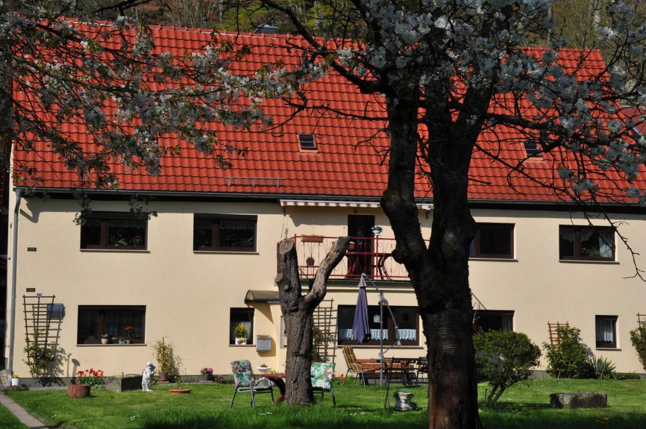 שטאדט ווילן Ferienwohnung An Der Elbe מראה חיצוני תמונה
